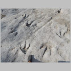 08-DSCN0779cr SW area.jpg